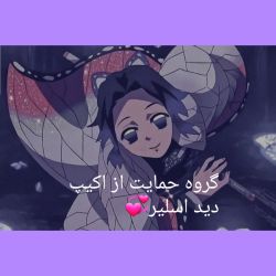 عکس گروه حمایت از اکیپ دید اسلیر💕