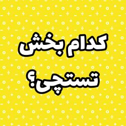 عکس بخش مورد علاقه شما در تستچی؟