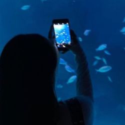 عکس „ قلب آبی رنگم 🌊