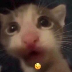 عکس ‌‌‌‌‌‌‌‌‌‌‌‌‌‌‌‌‌‌‌‌‌‌‌‌‌‌‌‌‌‌