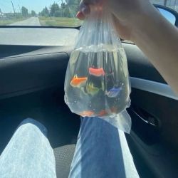 عکس ❕️❕️❕️᪹ꨲ