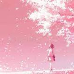 عکس My pink