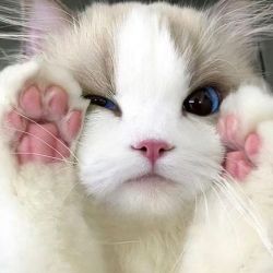 عکس ★★★★★