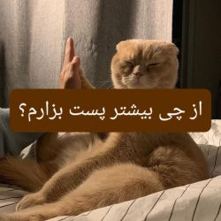 عکس از چی فعالیت کنم