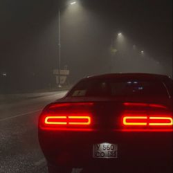 عکس 𝖵𝖤𝖭𝖮𝖬
