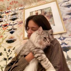 عکس meow‌‌‌‌‌‌