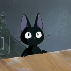 عکس ‌         🐈‍⬛️