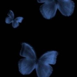 عکس ...🦋...