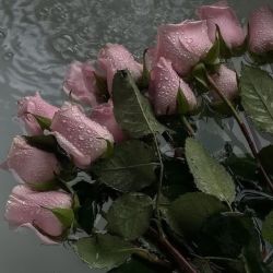 عکس 𝒊𝒏 𝒕𝒉𝒆 𝒔𝒌𝒚