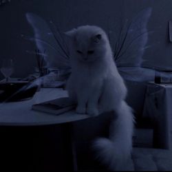 عکس 𝒞𝒶𝓉𝓇𝒾ℴ𝓃𝒶