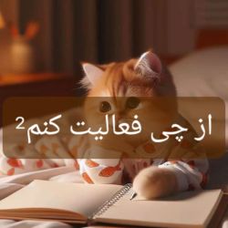 عکس از چی فعالیت کنم2