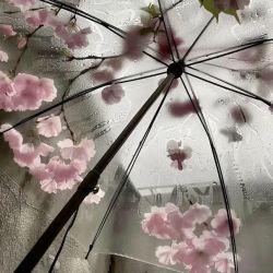 عکس flower blossomsᩘ