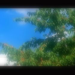 عکس - نویسندگی و داستان‌نویسی در تستچی -