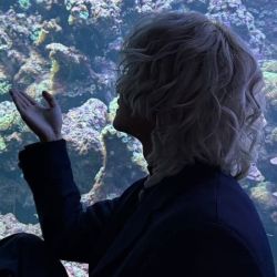 عکس ‌ ‌ ‌‌ ‌ 딸기