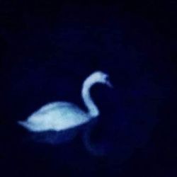 عکس ‌‌ ‌  ‌ ‌ 𝒜  ‌ ‌