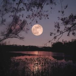 عکس جایی برای درد دل