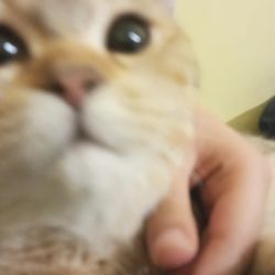 عکس Gllgllg