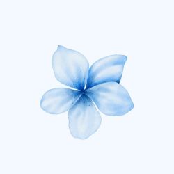 عکس YOU CAN ASK THE FLOWERS