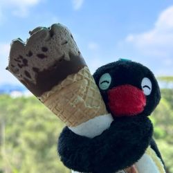 عکس ☀️    𝖲 𝗎𝗇