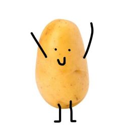 عکس ‌‌                     ‌‌