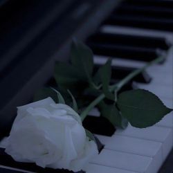 عکس از من خوشتون میاد