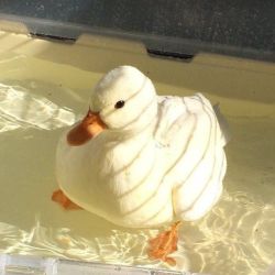 عکس 𝐌𝐨𝐧 𝐞𝐬𝐩𝐚𝐜𝐞 𝐬é𝐜𝐮𝐫𝐢𝐬é