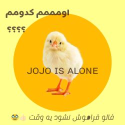 عکس اومممم کدوممم 🙂