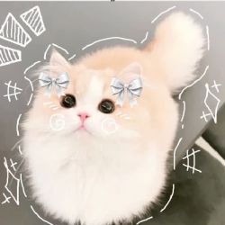 عکس میخوام پست بسازم✨