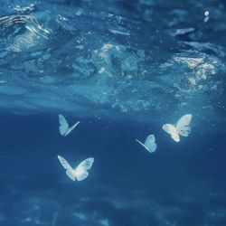 عکس ✨🌊𝒔𝒆𝒂