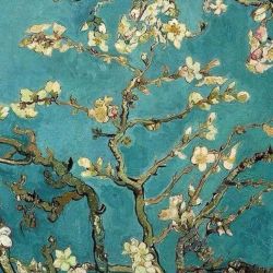 عکس Van Gogh
