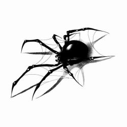 عکس ..🕸️..
