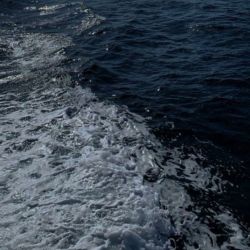 عکس The ocean whispers secrets to the shore