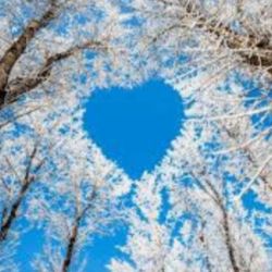 عکس کدوم بهتره ؟