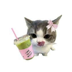 عکس :       oh! ⏱️