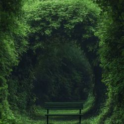 عکس بـے گــانــہ اے در شــہر غـریـب