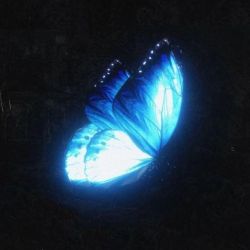 عکس ᴍʏ ʙʟᴜᴇ