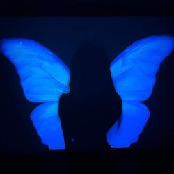 عکس 🦋:بیاین صحبت کنیم