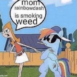 عکس ‌‌‌‌‌‌‌‌‌‌‌‌‌‌‌‌‌‌