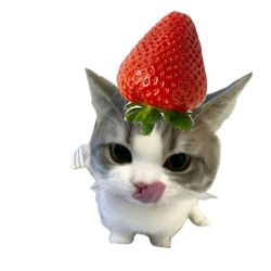 عکس エメラルドの涙