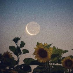 عکس 𝗅𝗎𝖾𝗂𝗅༄