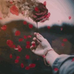 عکس از چی فعالیت کنم؟