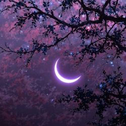 عکس ...♤...