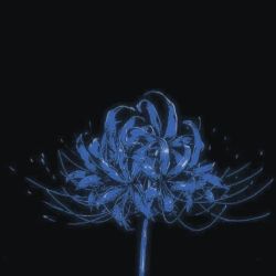 عکس ɪ’ʟʟ ᴀʟᴡᴀʏꜱ ꜱᴛᴀʏ
