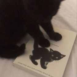 عکس حیوانات