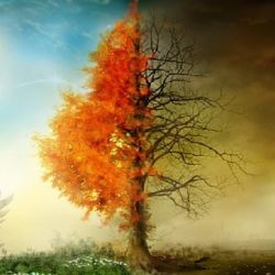 عکس محل رسیدگی به شکایات و برزخ🙏🏻
