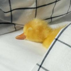 عکس کدوم فیلم ؟؟