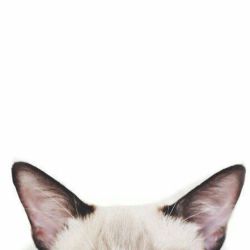 عکس 𝖡𝗋𝖾𝖺꩜𝗍𝗁𝖾