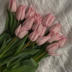 عکس مکان‌واقعی‌آنیسا‌😋