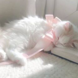 عکس 𝐼 𝒽𝑜𝓅𝑒