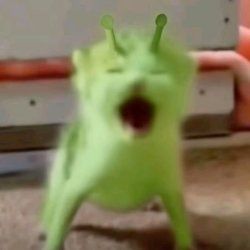 عکس ☆𝓽𝓪𝓵𝓴𝓲𝓷𝓰✭